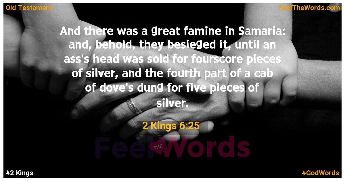 2 Kings 6:25