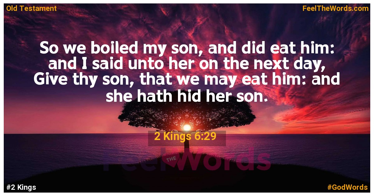 2 Kings 6:29