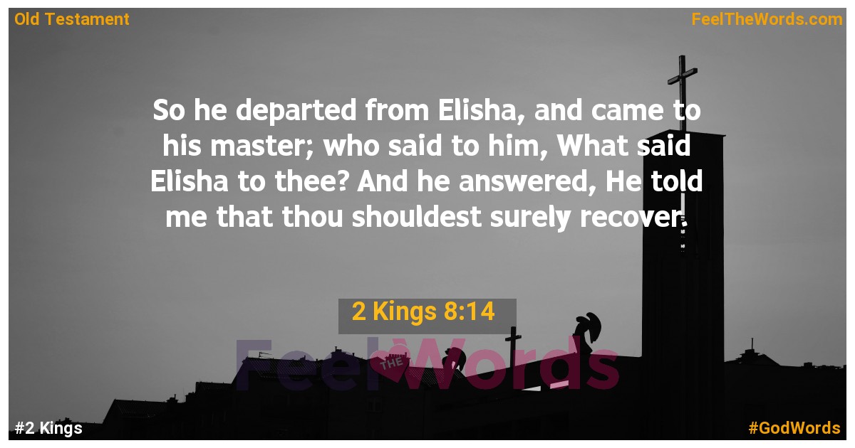 2 Kings 8:14