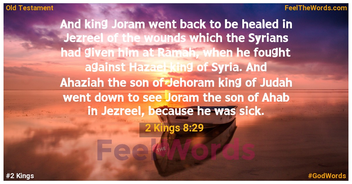2 Kings 8:29