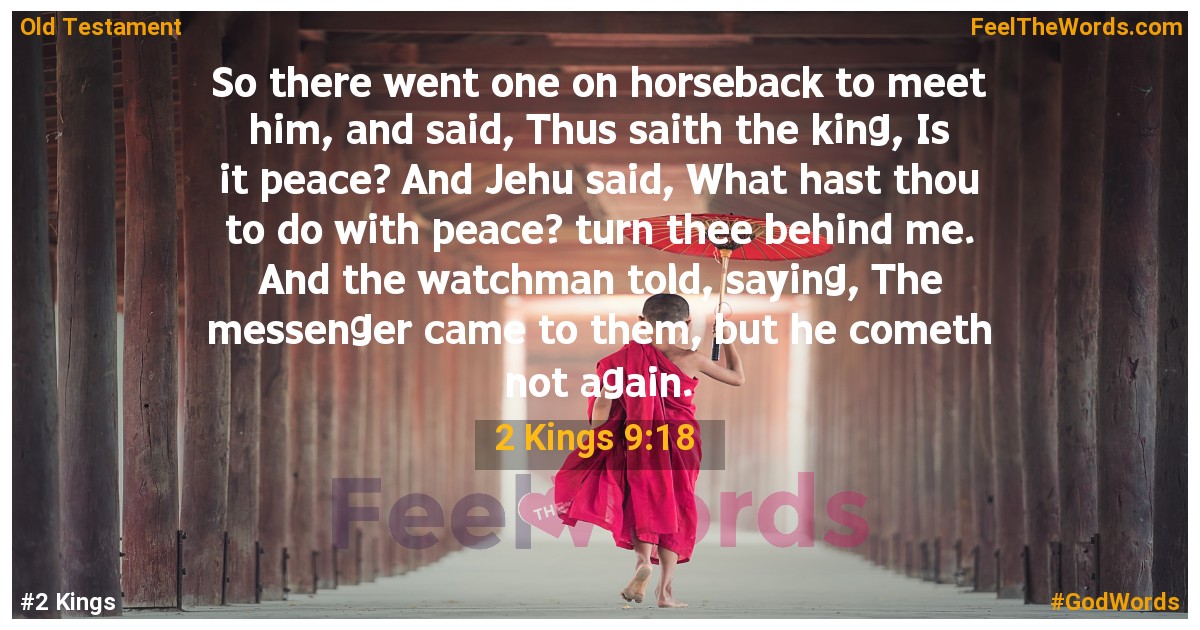 2 Kings 9:18