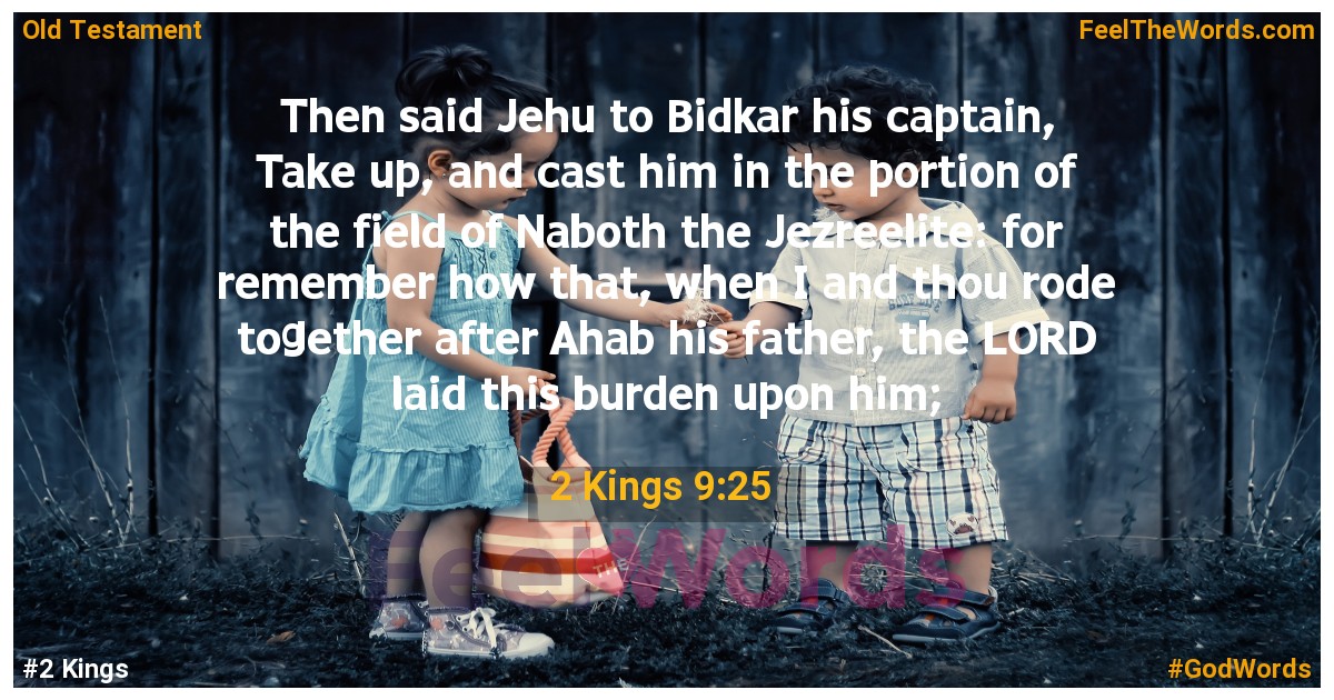 2 Kings 9:25