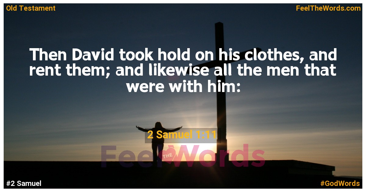 2 Samuel 1:11