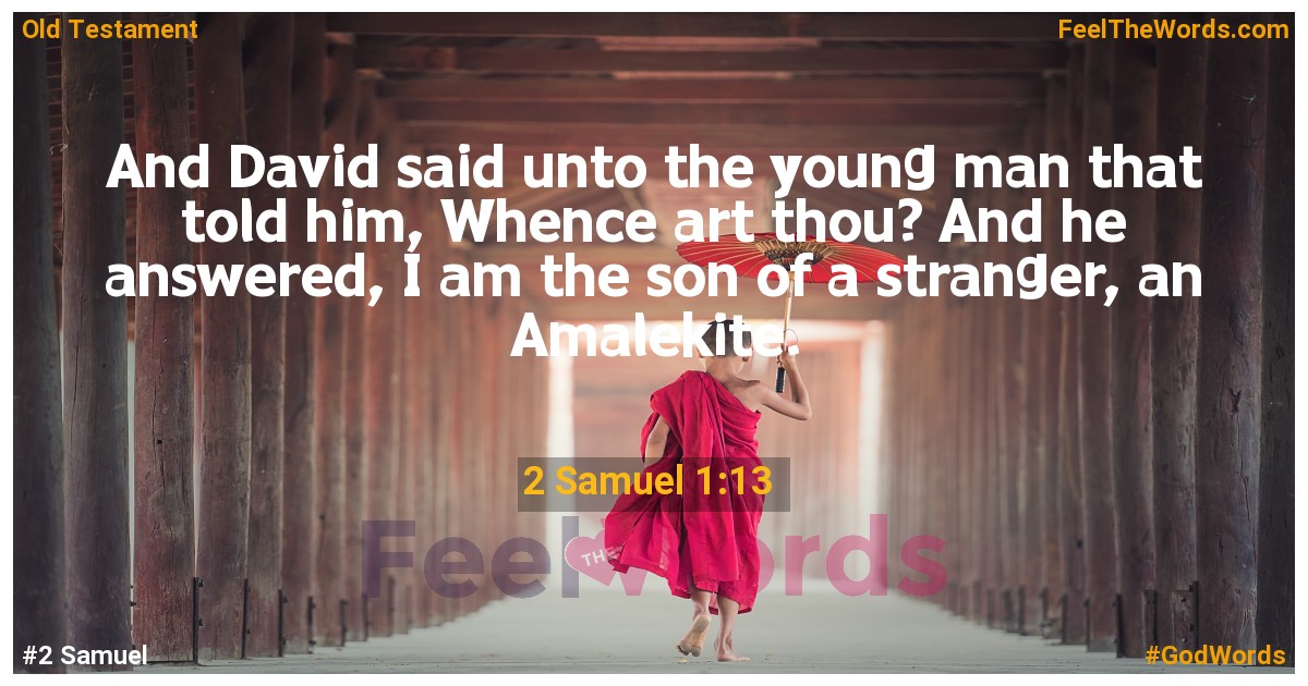 2 Samuel 1:13
