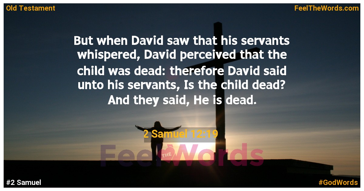 2 Samuel 12:19