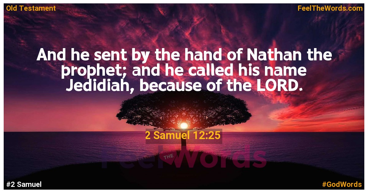 2 Samuel 12:25