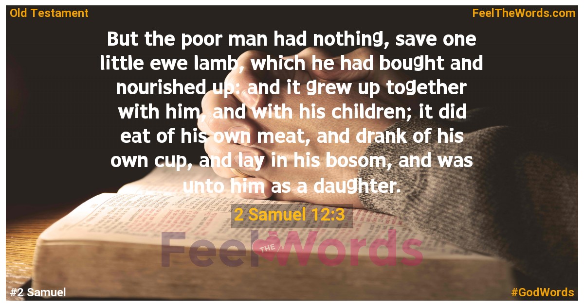 2 Samuel 12:3
