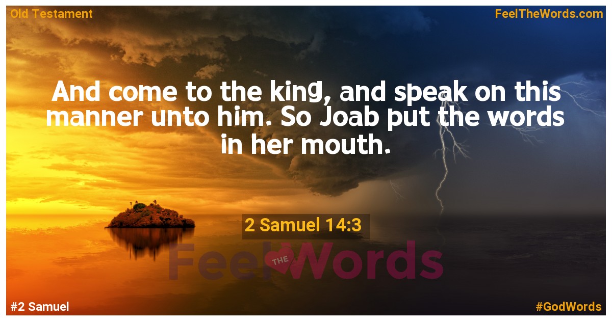 2 Samuel 14:3