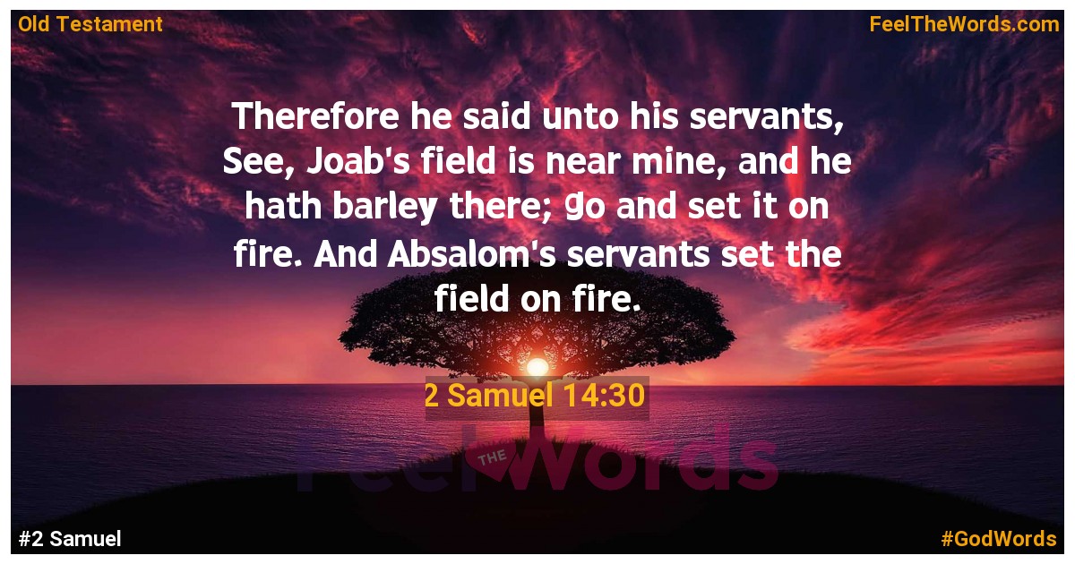 2 Samuel 14:30