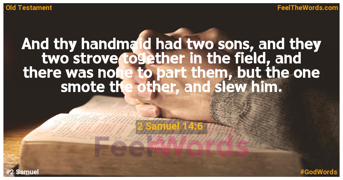 2 Samuel 14:6