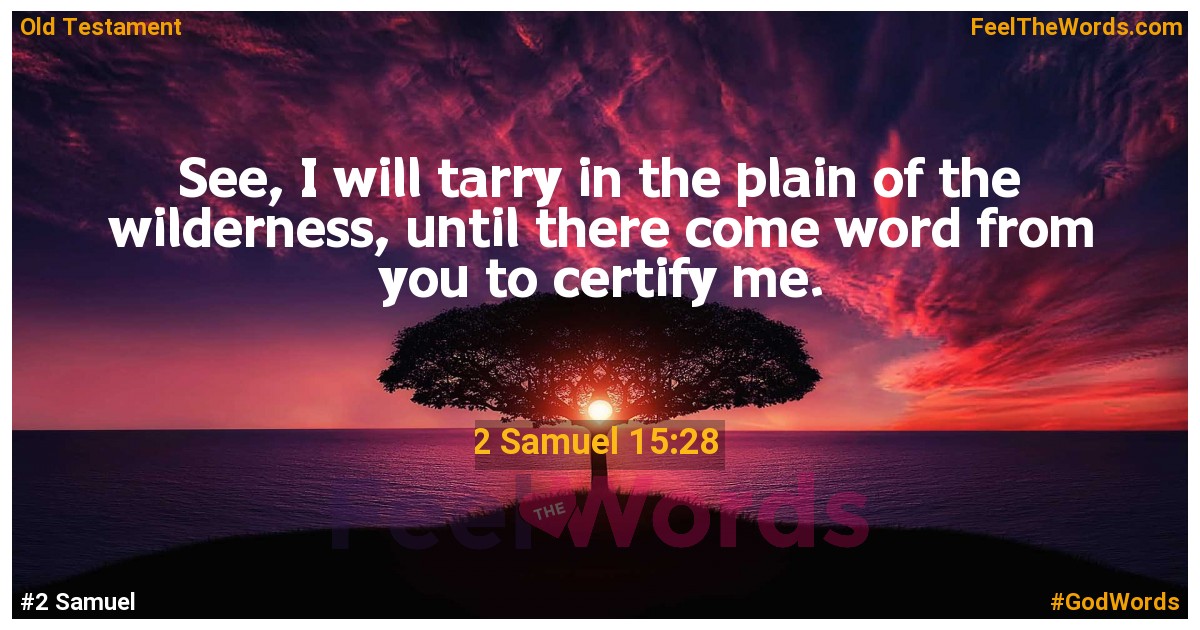 2 Samuel 15:28