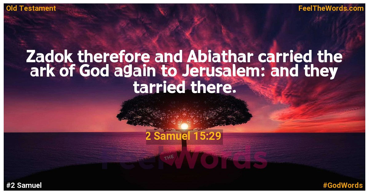 2 Samuel 15:29