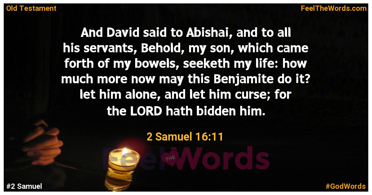 2 Samuel 16:11
