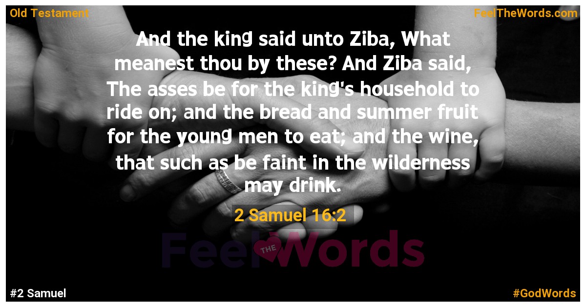 2 Samuel 16:2