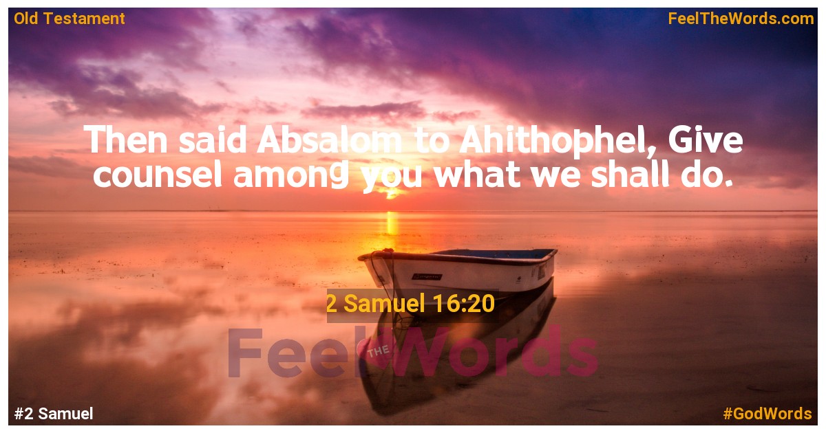 2 Samuel 16:20