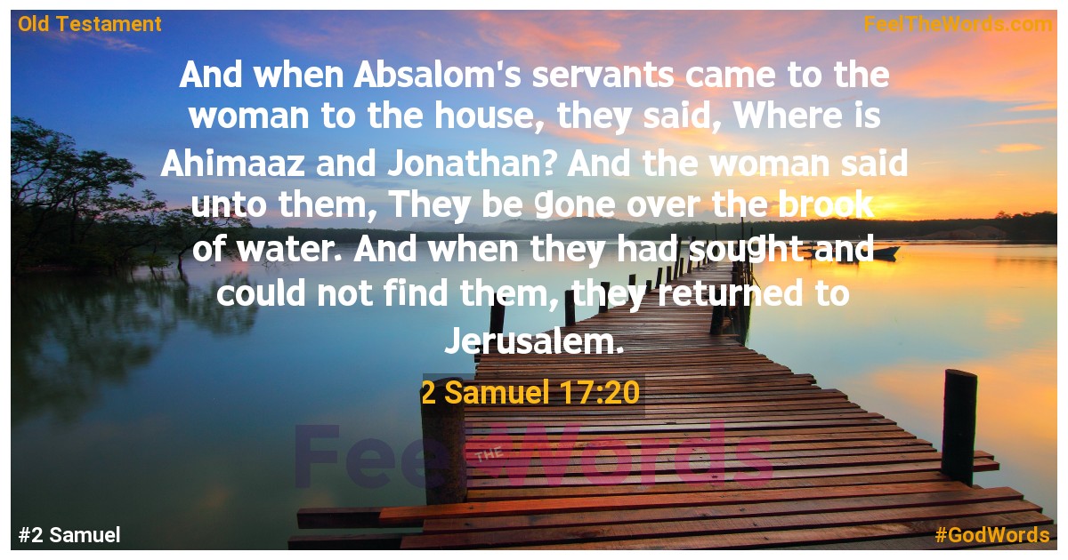 2 Samuel 17:20
