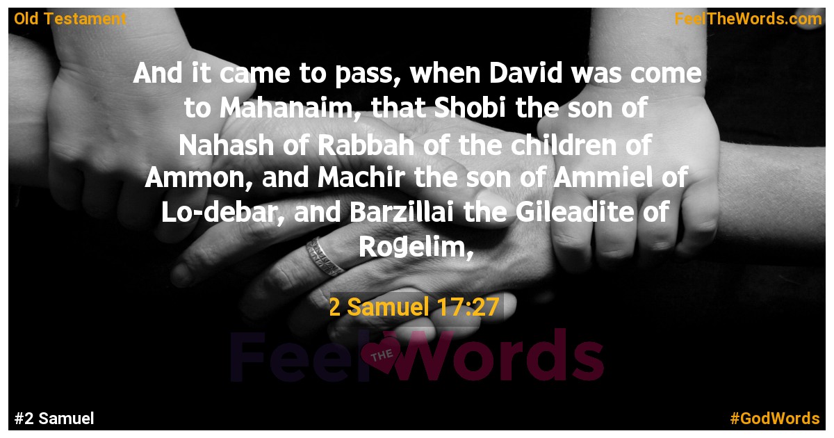 2 Samuel 17:27