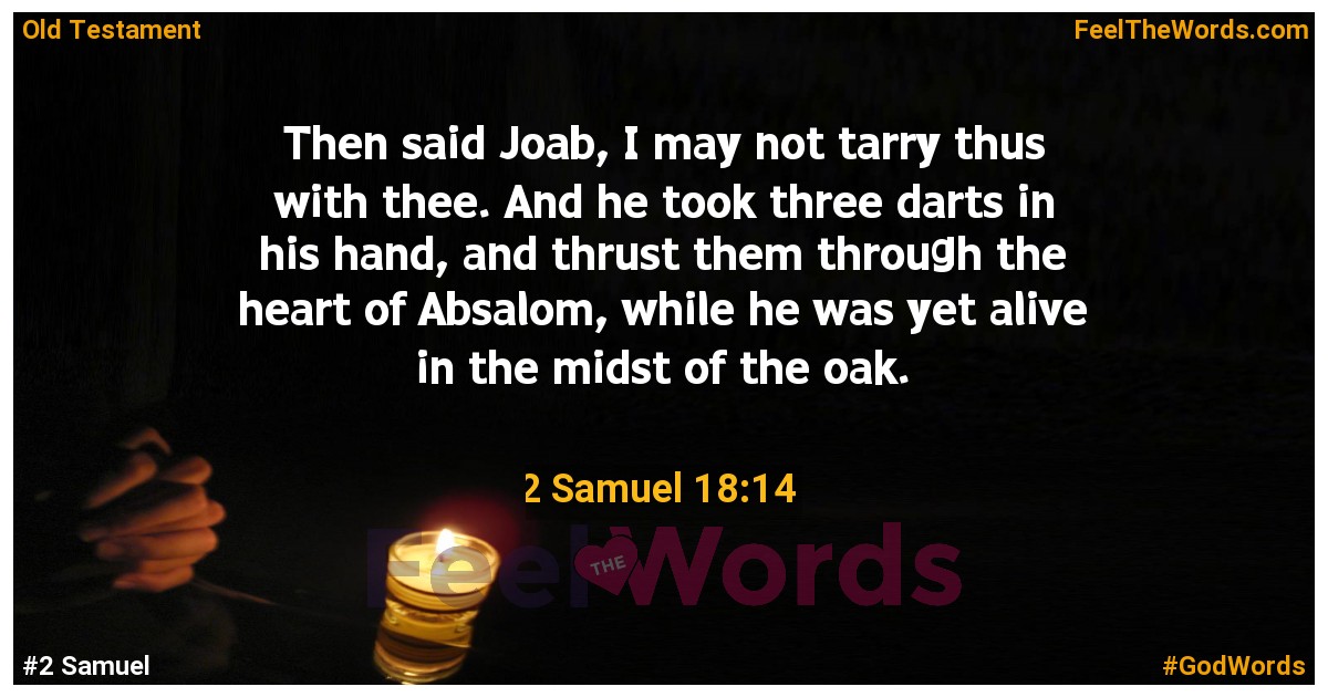 2 Samuel 18:14