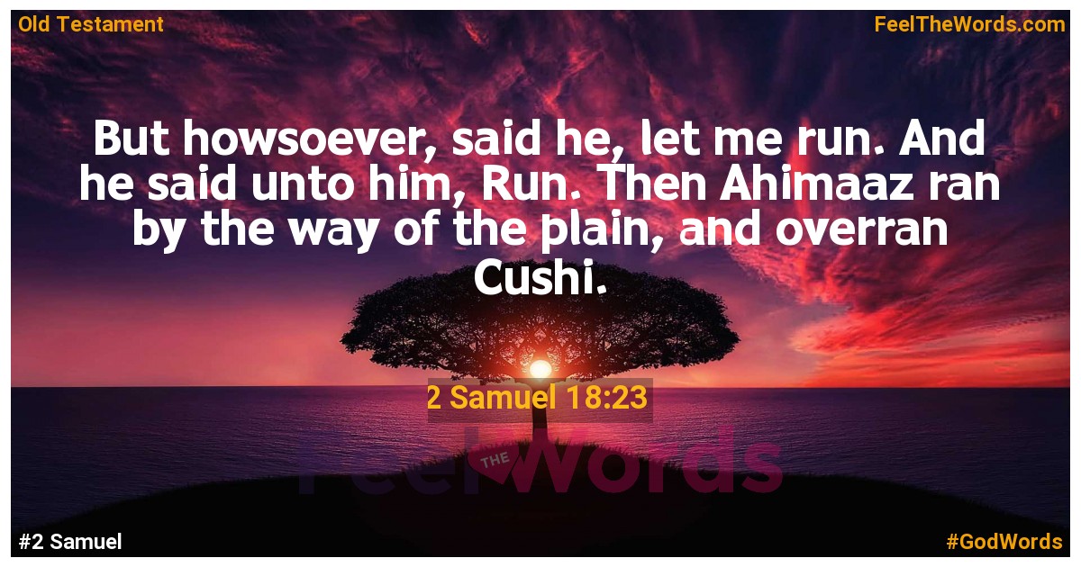 2 Samuel 18:23