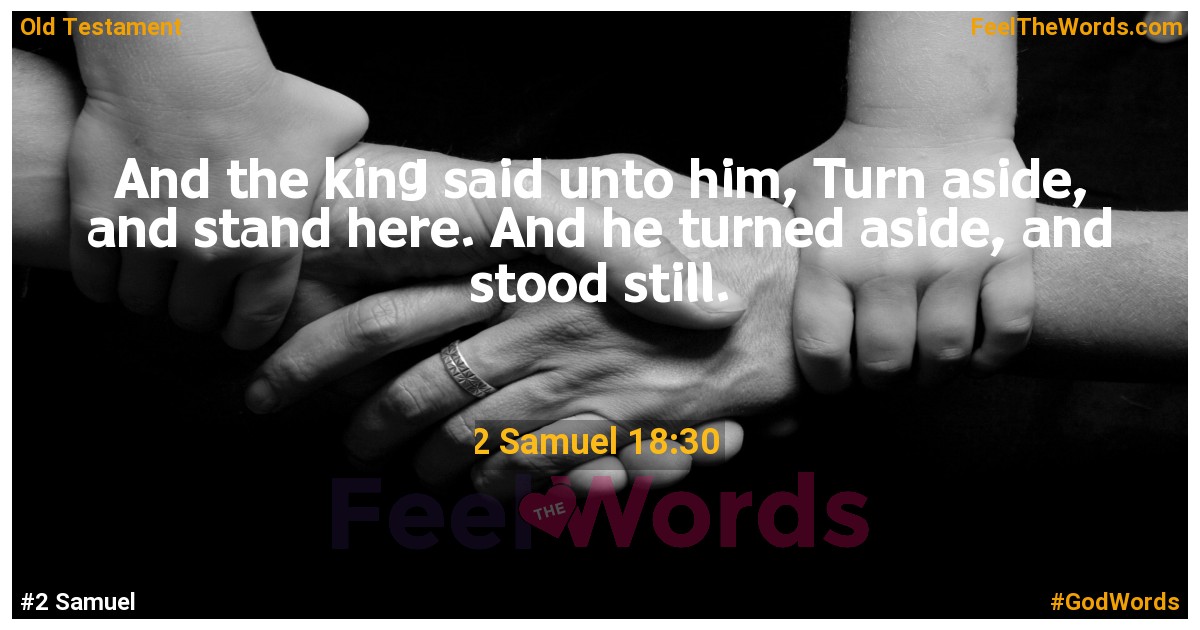 2 Samuel 18:30