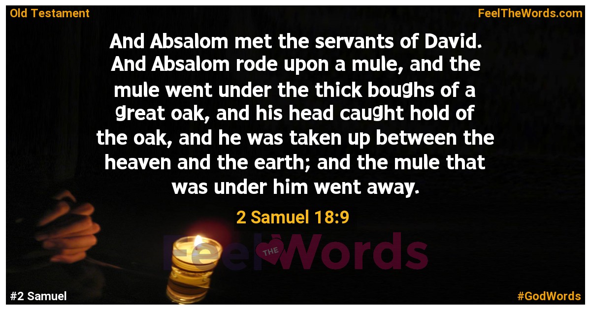 2 Samuel 18:9