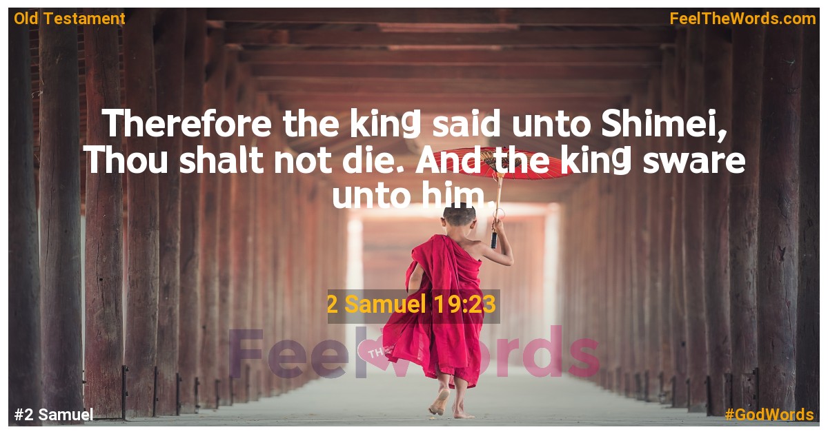 2 Samuel 19:23