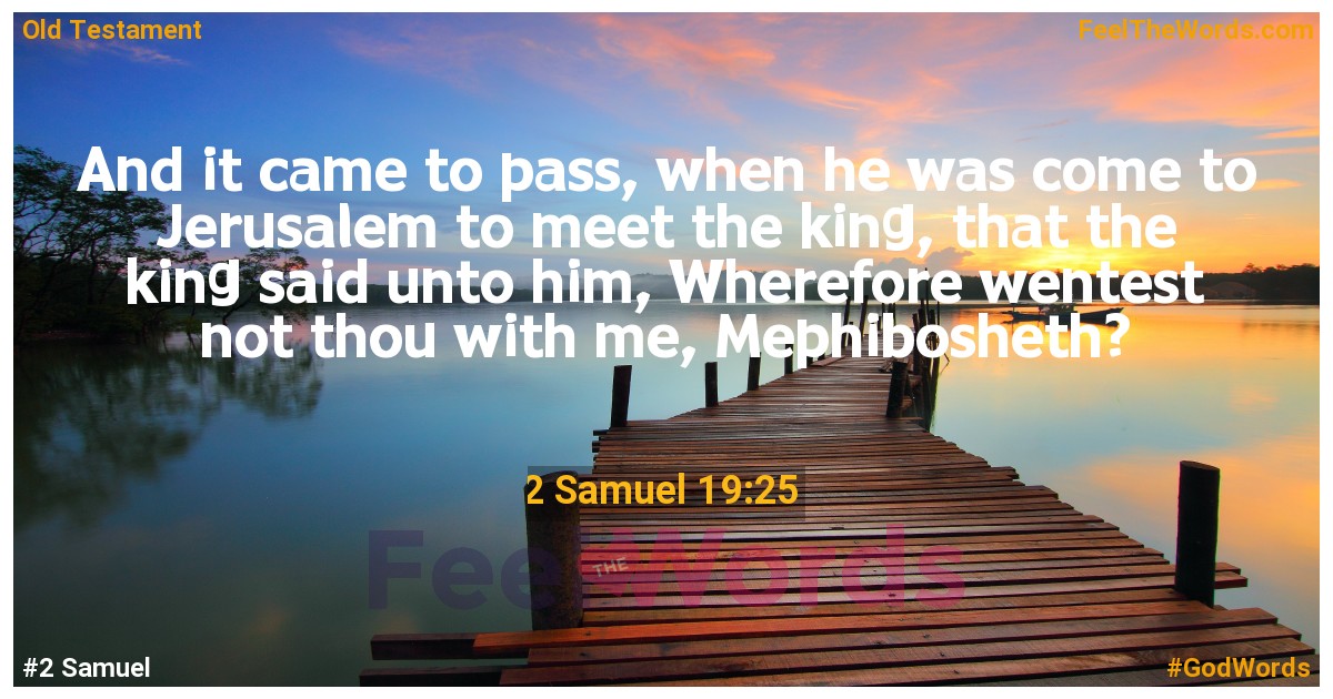 2 Samuel 19:25