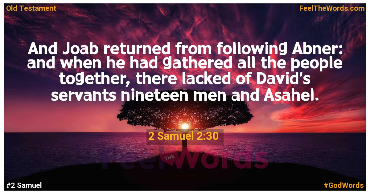 2 Samuel 2:30