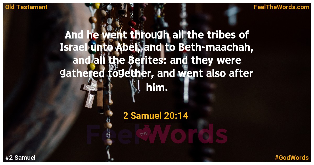 2 Samuel 20:14