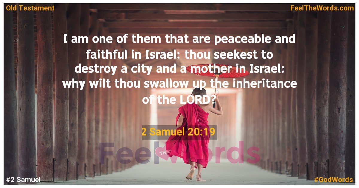 2 Samuel 20:19
