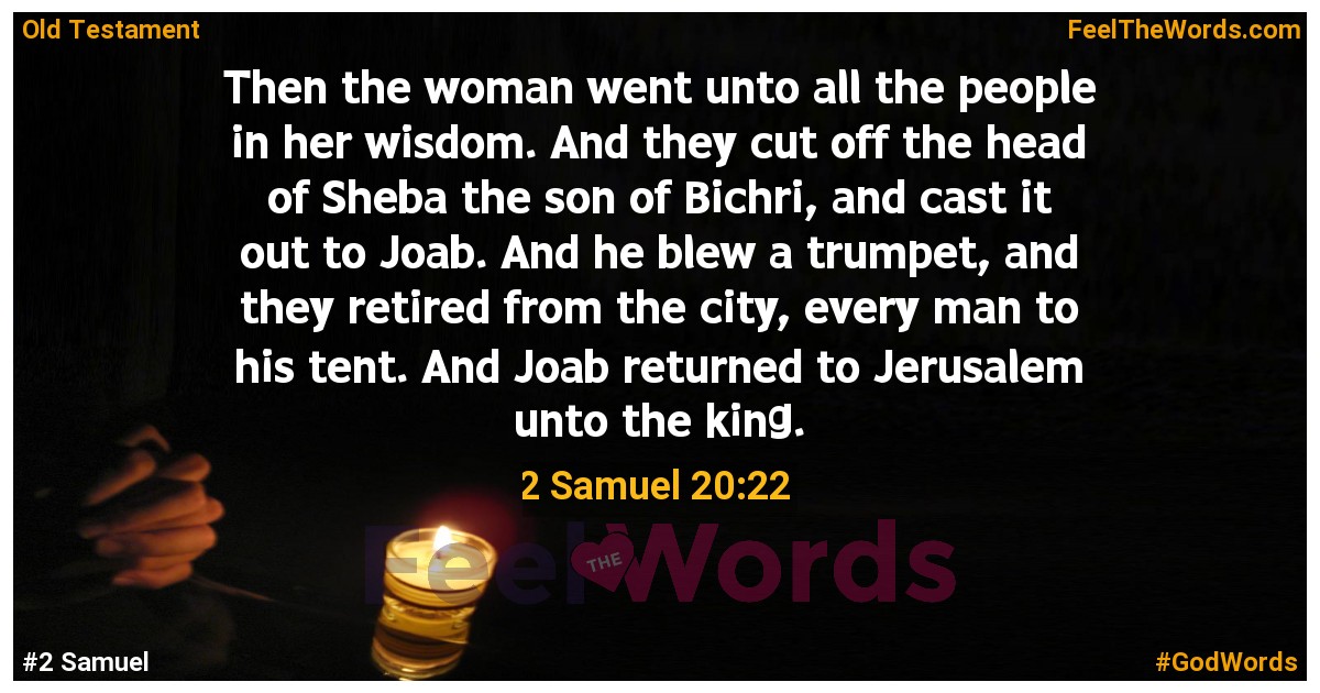 2 Samuel 20:22