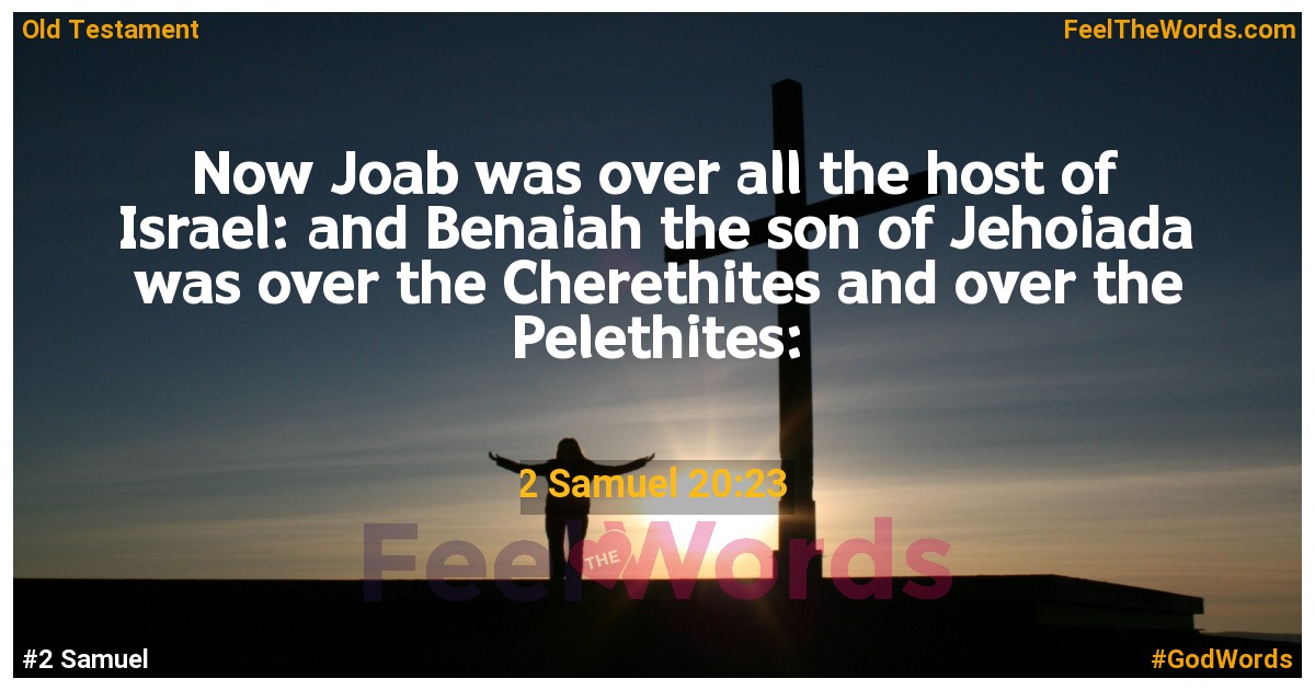 2 Samuel 20:23