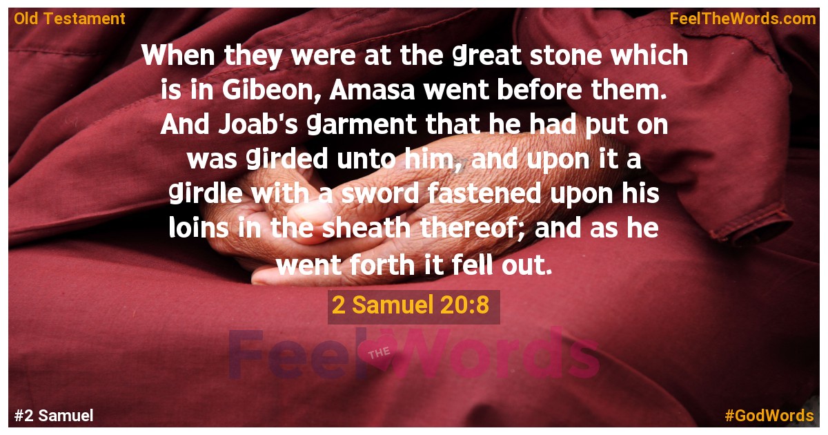 2 Samuel 20:8