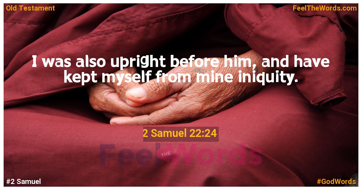 2 Samuel 22:24