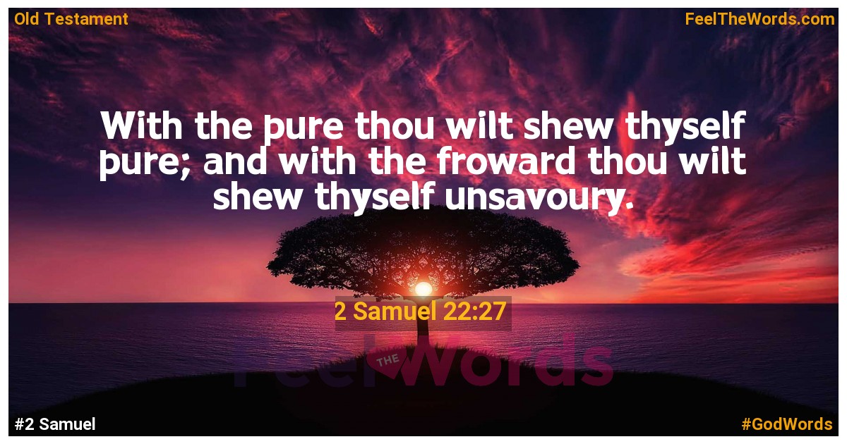 2 Samuel 22:27