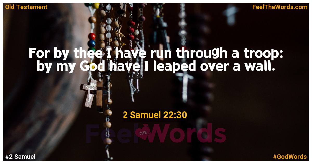 2 Samuel 22:30