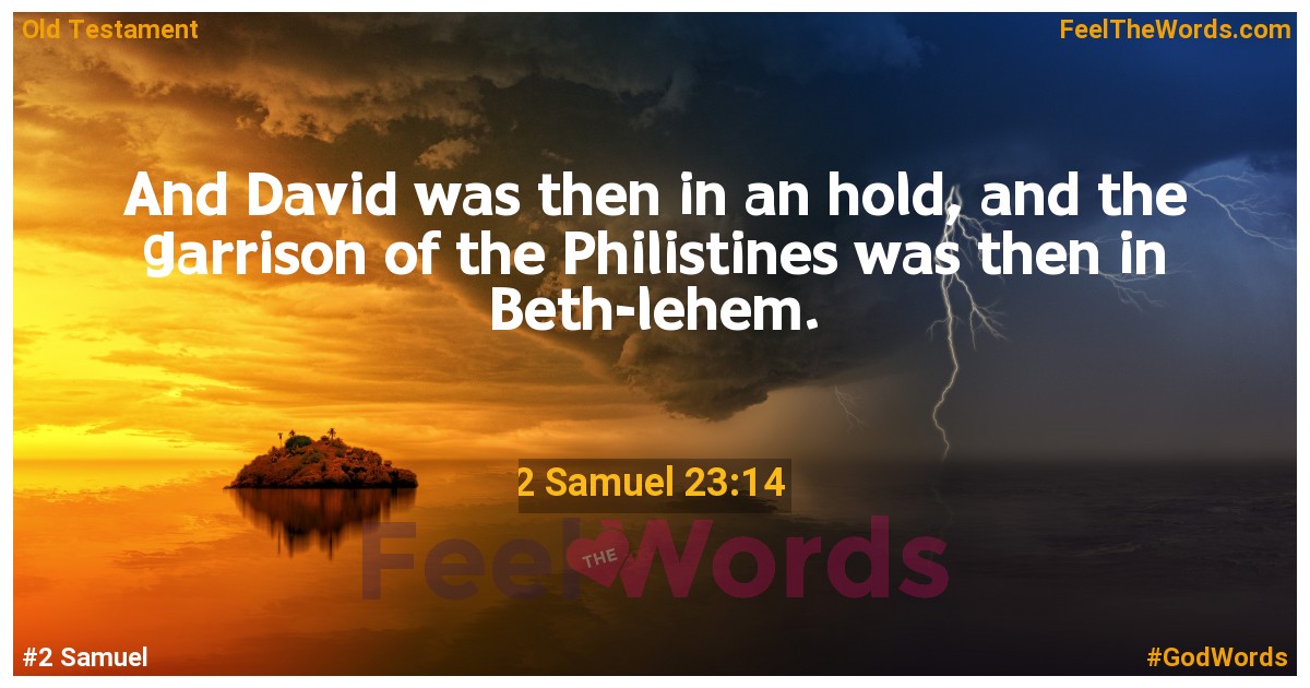 2 Samuel 23:14
