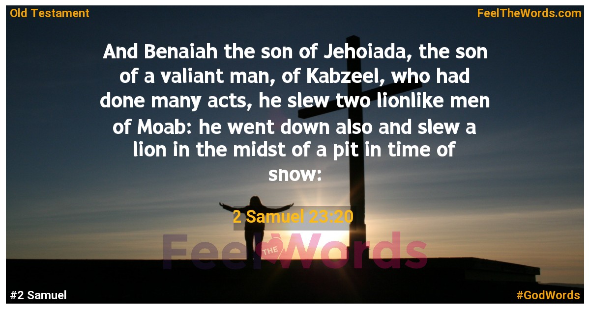 2 Samuel 23:20