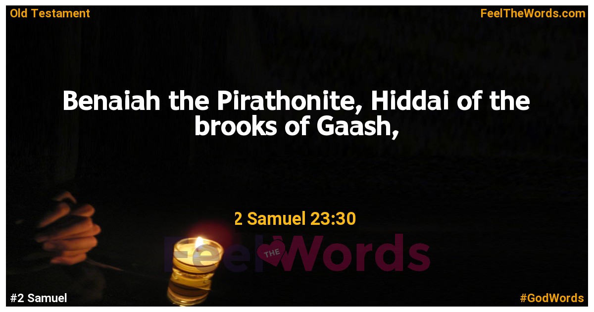 2 Samuel 23:30
