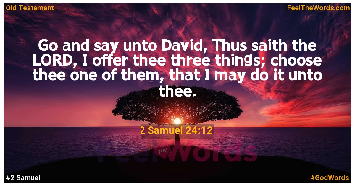 2 Samuel 24:12