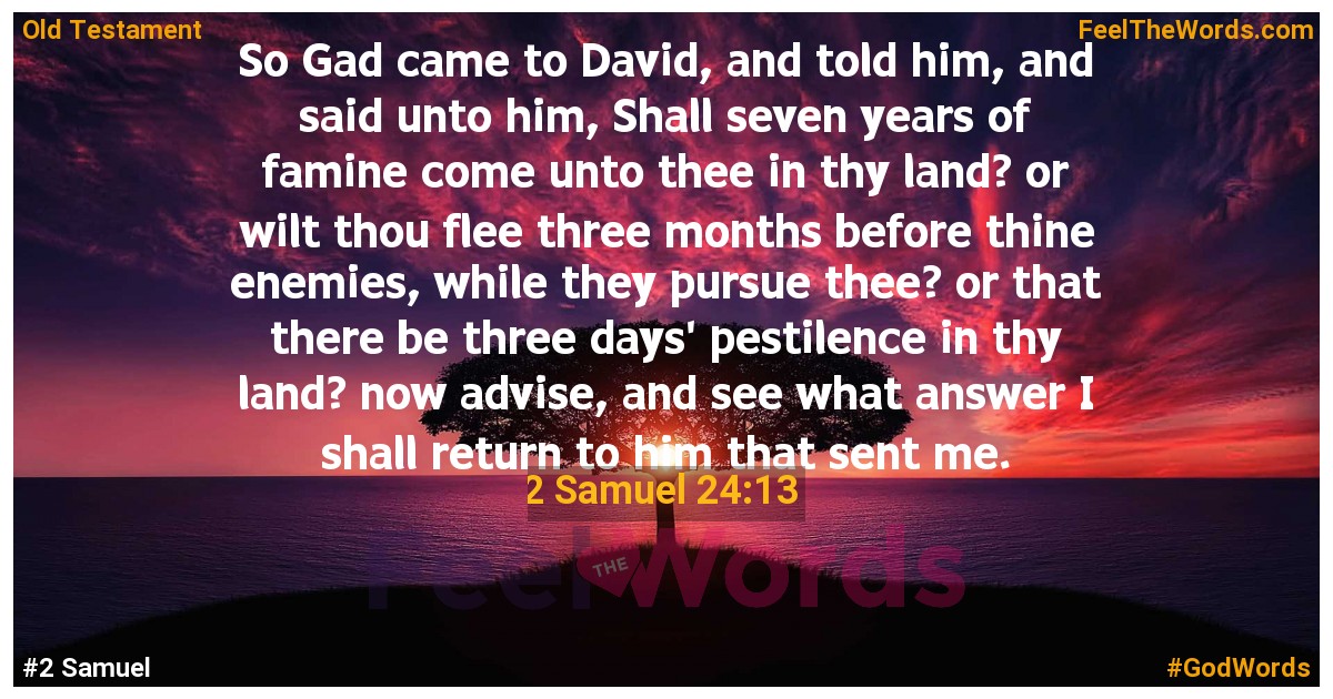 2 Samuel 24:13