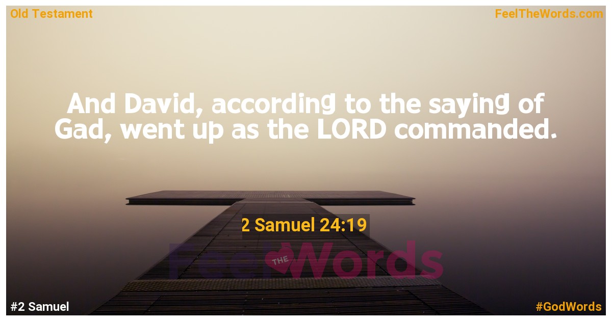2 Samuel 24:19