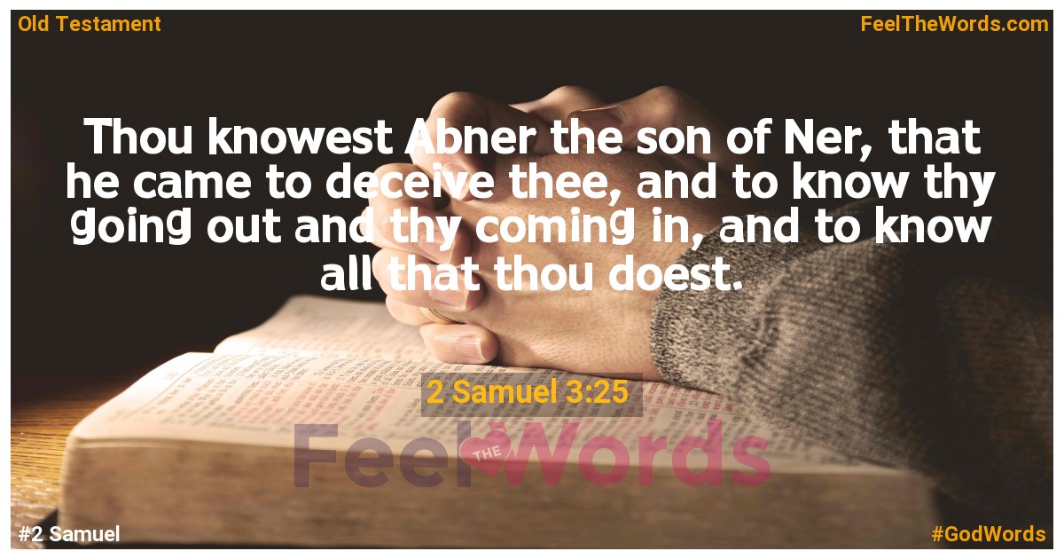 2 Samuel 3:25