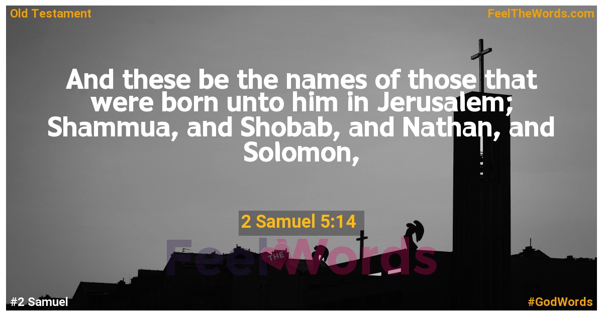 2 Samuel 5:14