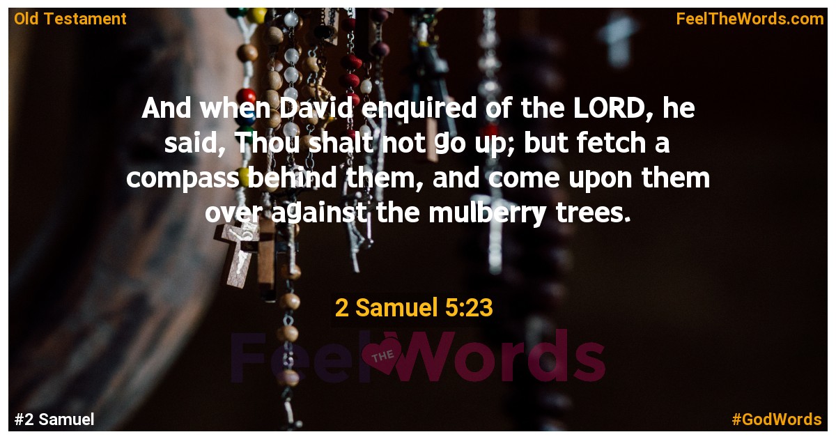 2 Samuel 5:23