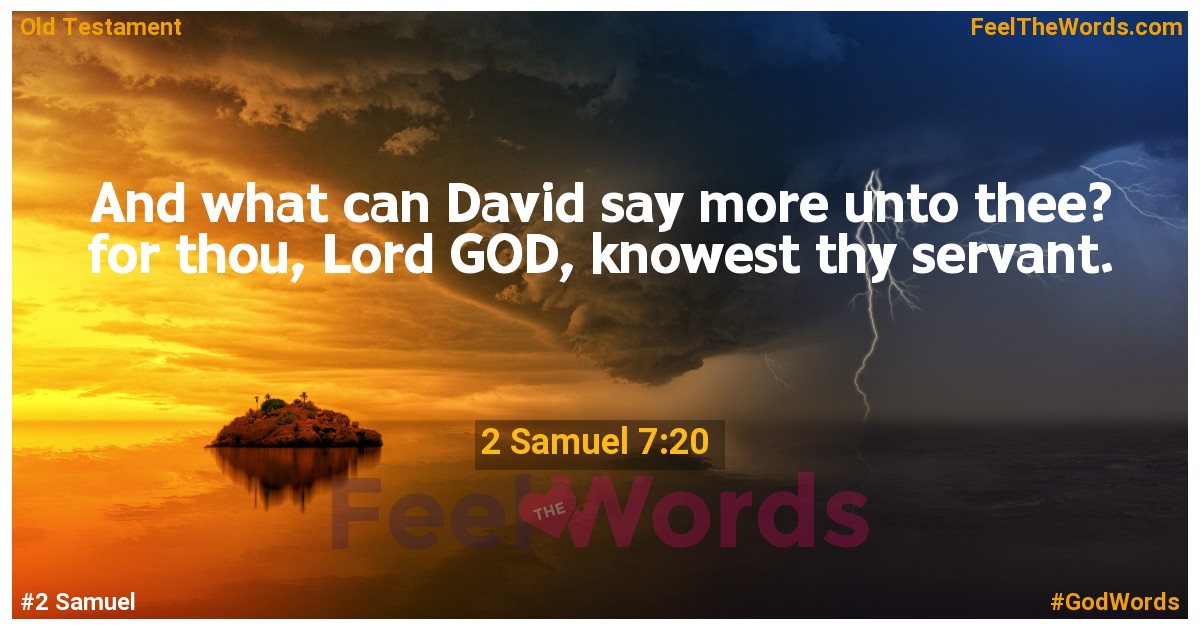2 Samuel 7:20