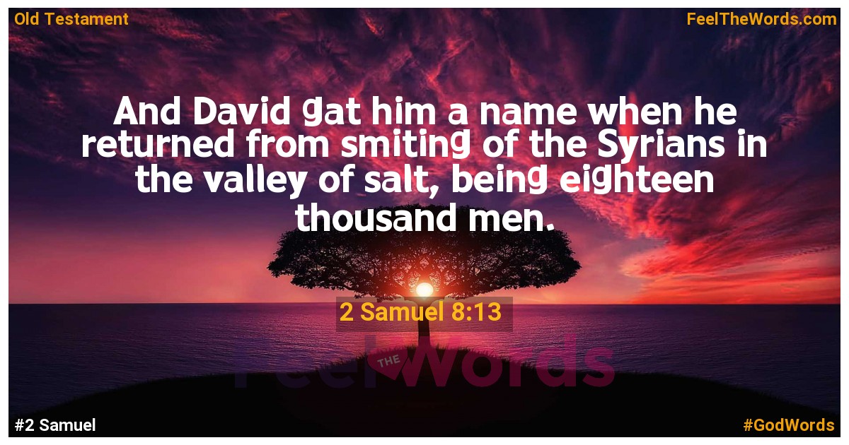 2 Samuel 8:13