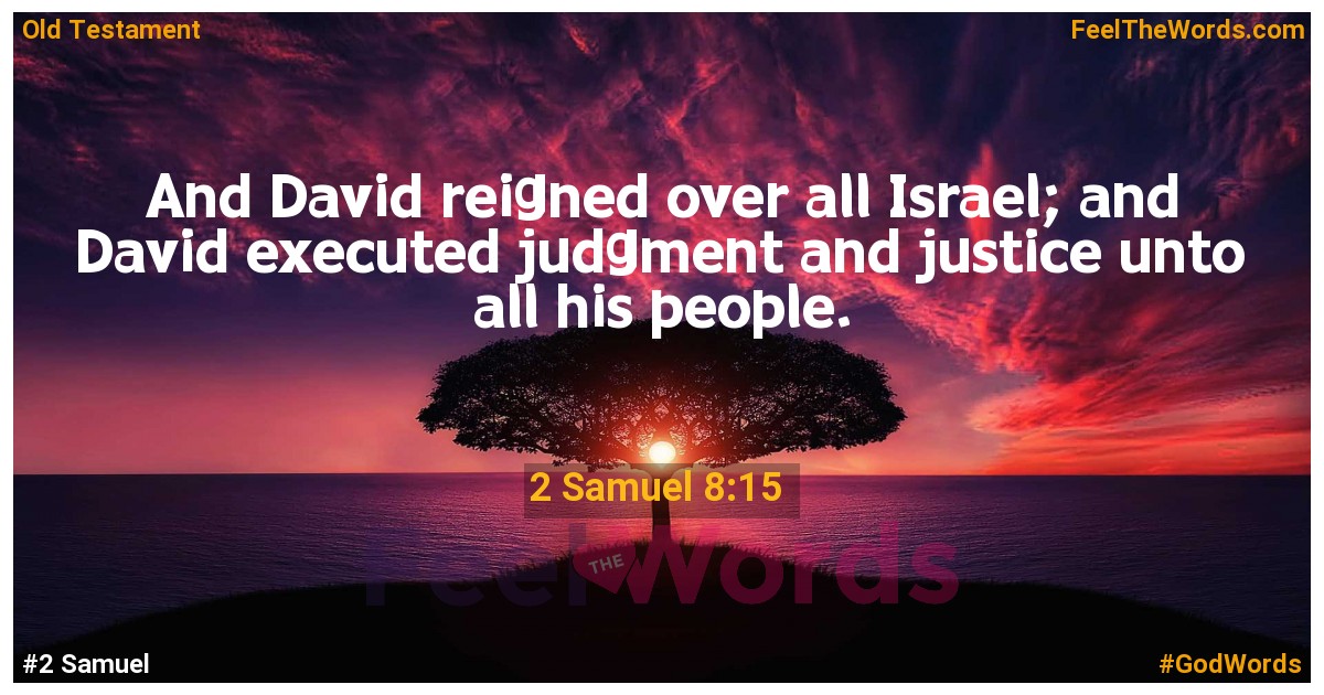 2 Samuel 8:15