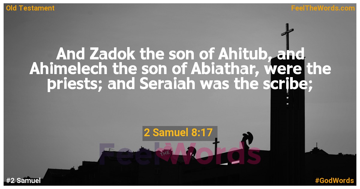 2 Samuel 8:17