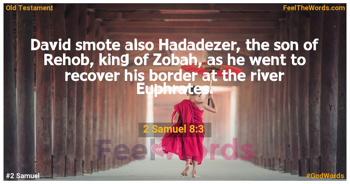 2 Samuel 8:3